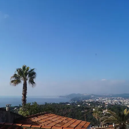 Monti Vila *
