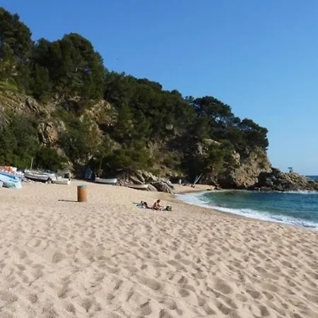 Monti Vila *